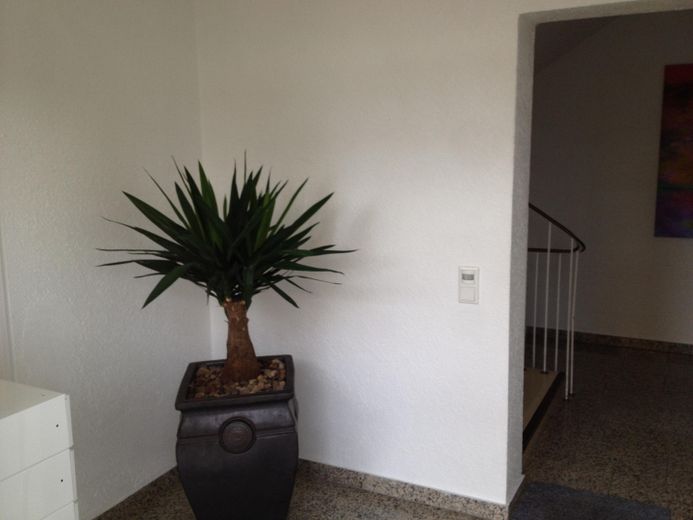 Westbalkon, Summerfeeling zum Feierabend – Treppenhaus