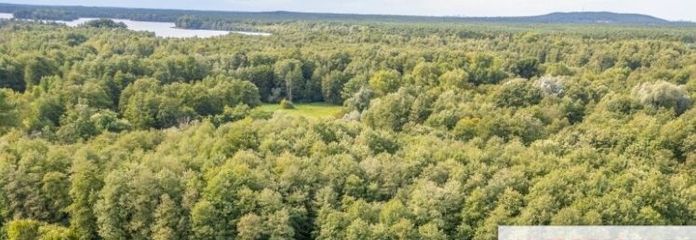 IMMOBERLIN.DE - Sehr attraktives Freizeitgrundstück in naturverbundener Lage nahe Seddiner See