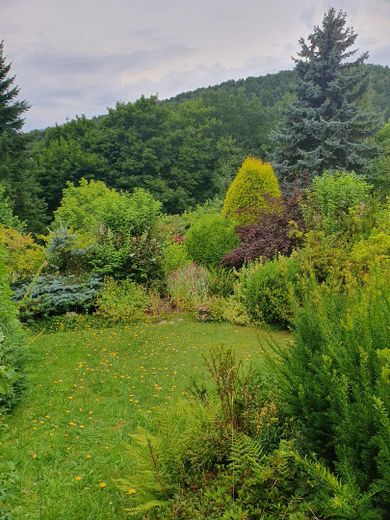 Garten, unterer Teil