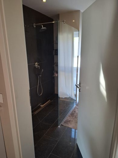 Окремий односімейний будинок (2012 р. буд.) у центральному розташуванні – Bad OG