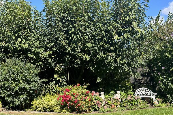 Gemütliches Einfamilienhaus mit schönem Garten