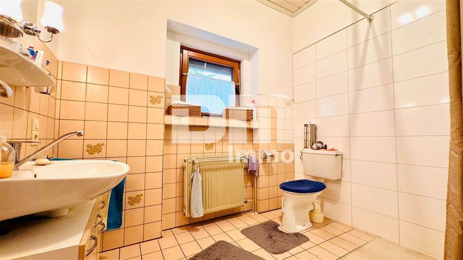 Modernisiertes Einfamilienhaus auf riesigem Grundstück mit Carport und Nebengebäude – EG Badezimmer / Dusche ebenerdig