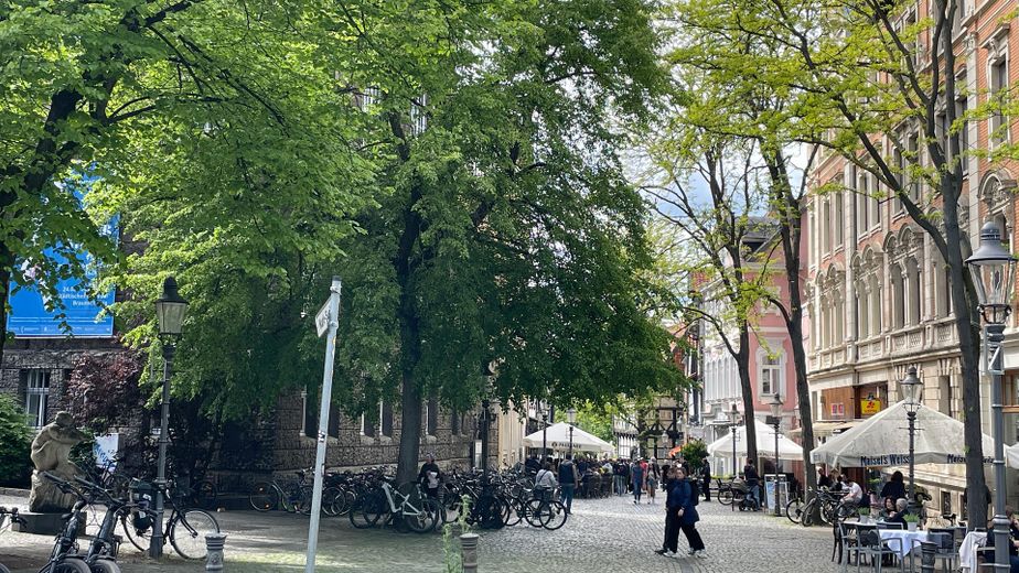 Lichtdurchflutetes Wohlfühl-Zuhause in Braunschweigs Herzen zum Einziehen, Durchatmen und Ankommen – Magniviertel