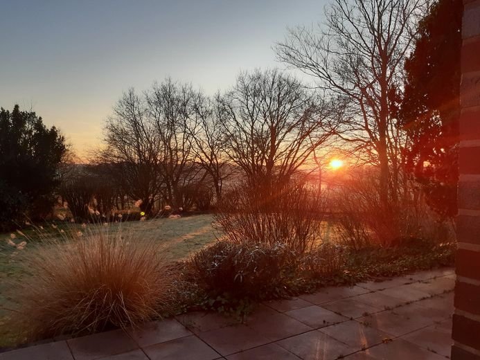 Sonnenuntergang im Garten
