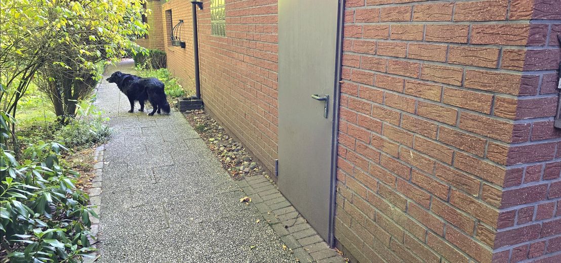 Mietobjekt + Garagentür