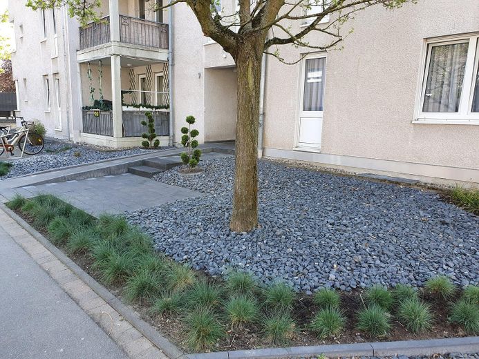 3 Zimmer Wohnung mit Balkon in Niederkassel – Hausansicht