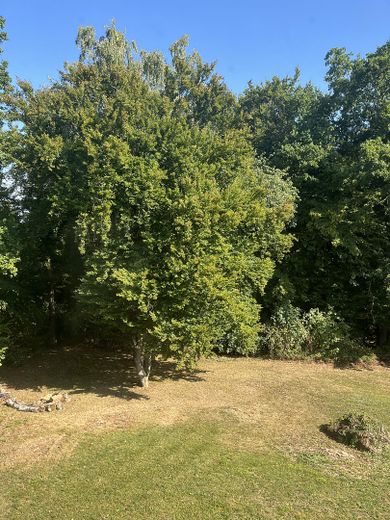 Nordseite/Blick Kinderzimmer
