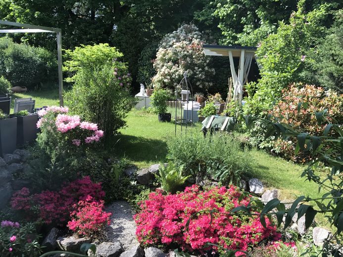 Blick aus dem Wohnzimmer