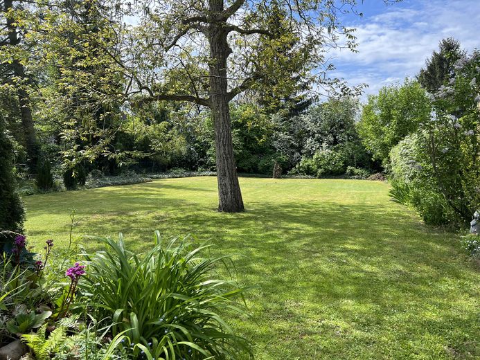 Erstbezug nach Sanierung - Südwestterrasse mit Gartenblick – Gartenanlage / Privatpark