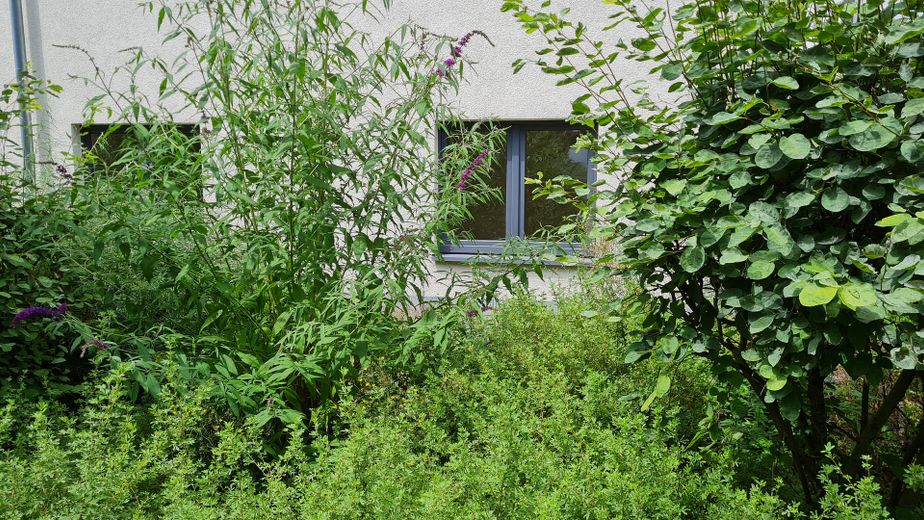 Schöne, ruhige und helle 3-Zimmerwohnung gegenüber Skyline Plaza – Wohnung vom Innenhof