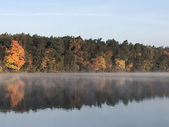 gepflegte Villa mit eig. Seezugang, Steg, Gästehaus, Sauna, Designmobiliar nahe Berlin – Aussicht im Herbst