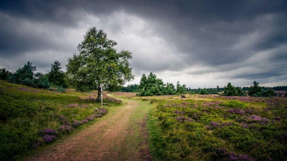 Die Hochheide/Niedersfeld