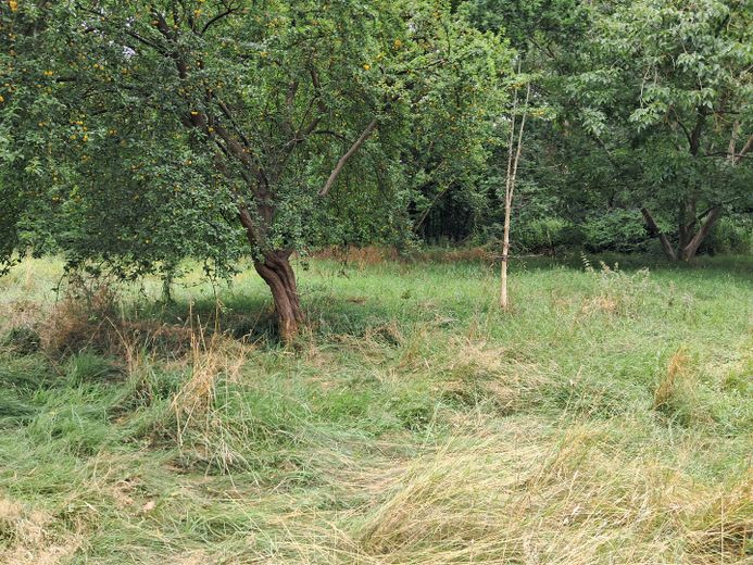 Ampio terreno centrale con area edificabile e positivo preavviso di costruzione a Hitzacker(Elbe) – Foto 1