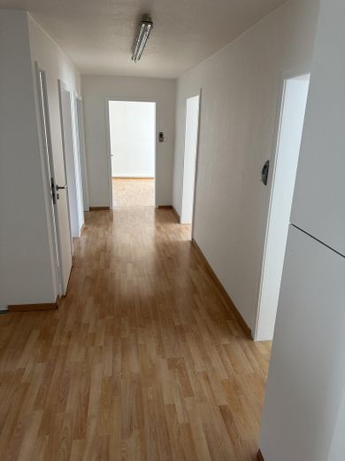 11 Zimmer auf drei Etagen – Haus in St. Johann-Würtingen, 2014 kernsaniert – Flur