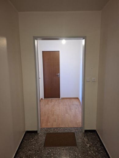 Wohnungstür 2