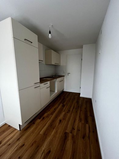 Modern renovierte 2‑Zimmer‑Wohnung mit Einbauküche – फोटो 1