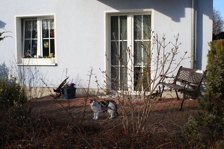 HORN IMMOBILIEN ++ Rechlin an der Müritz vermietetes Mehrfamilienhaus zu verkaufen – Sonnenterrasse