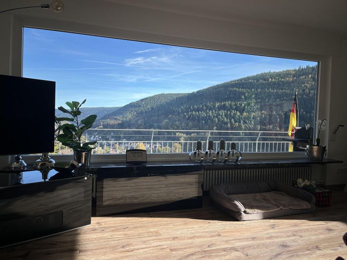 Panoramablick Wohnzimmer 