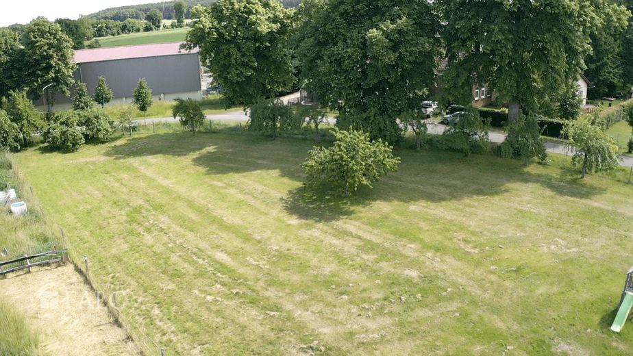 ***Großzügiges Baugrundstück mit Obstbaumbestand in Boddin/ Wittendörp*** – Garten