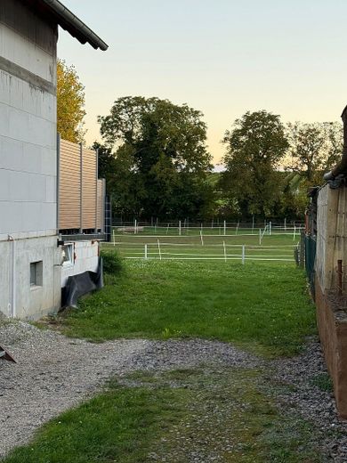 Blick Richtung Garten 