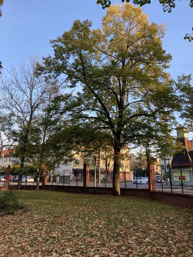 Schöne 1-Zimmer Dachgeschosswohnung in denkmalgeschützter Villa in zentraler Lage von Radebeul – Foto 4