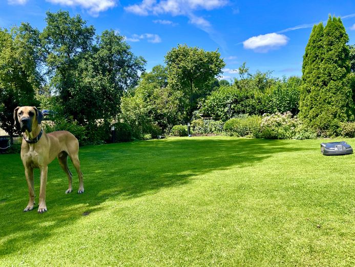 Garten