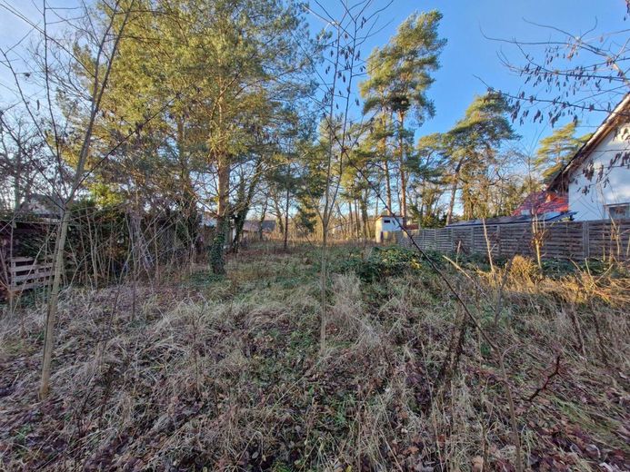 Grundstück mit Baugenehmigung für 2 EFH - sofort bebaubar – Blick von vorne nach hinten
