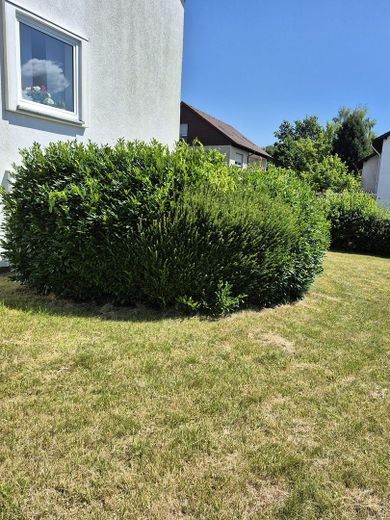 Helle 3-Zimmer-Erdgeschosswohnung mit Balkon und Garage in ruhiger Lage von Horn-Bad Meinberg – Garten des Hauses 3