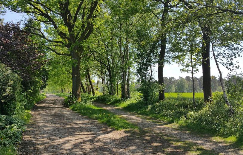 Wanderweg vorm Haus