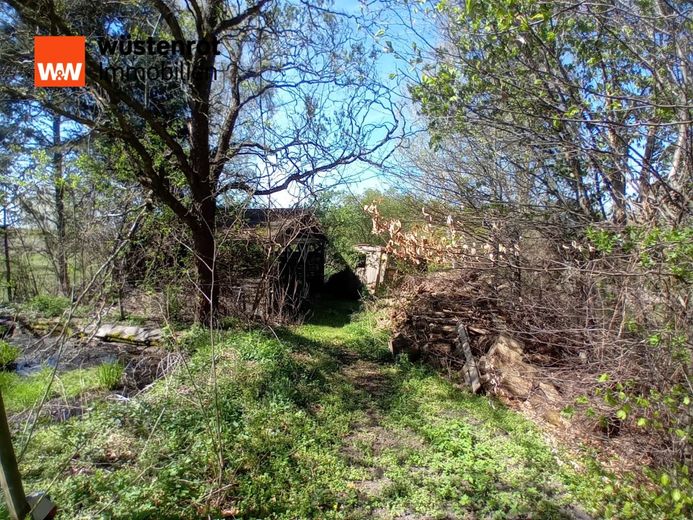 Gemütlicher Bungalow mit Erweiterungspotenzial bei Beeskow zu verkaufen. Schauen Sie vorbei... – Hinterer Bereich Garten mit Holzlager