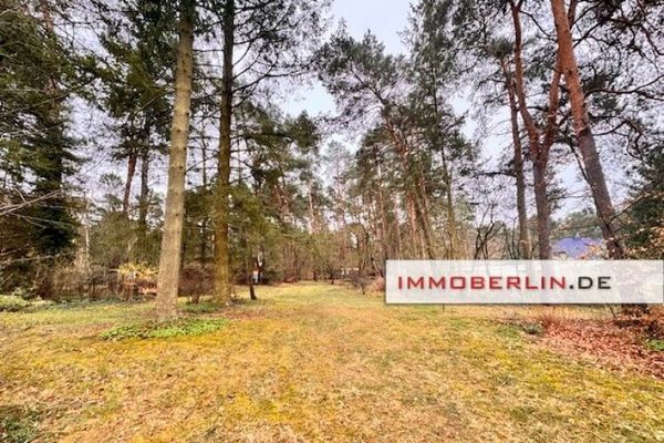 IMMOBERLIN.DE - Przestronna działka budowlana o idealnej południowej ekspozycji
