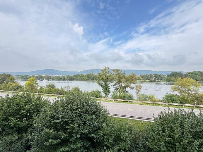 Blick aus Zimmer zur Mosel