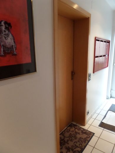 Wohnungseingangstüre