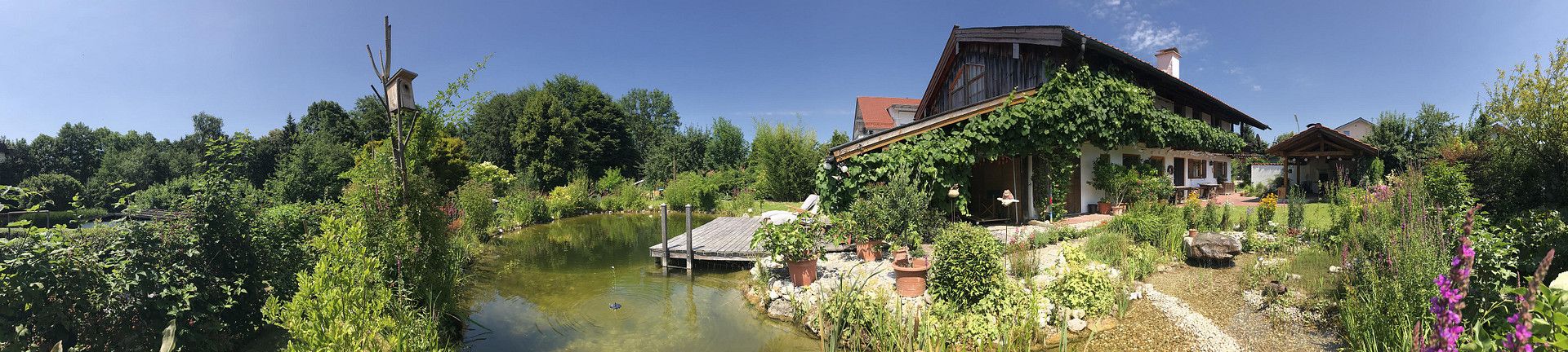 Terrasse / Badeteich