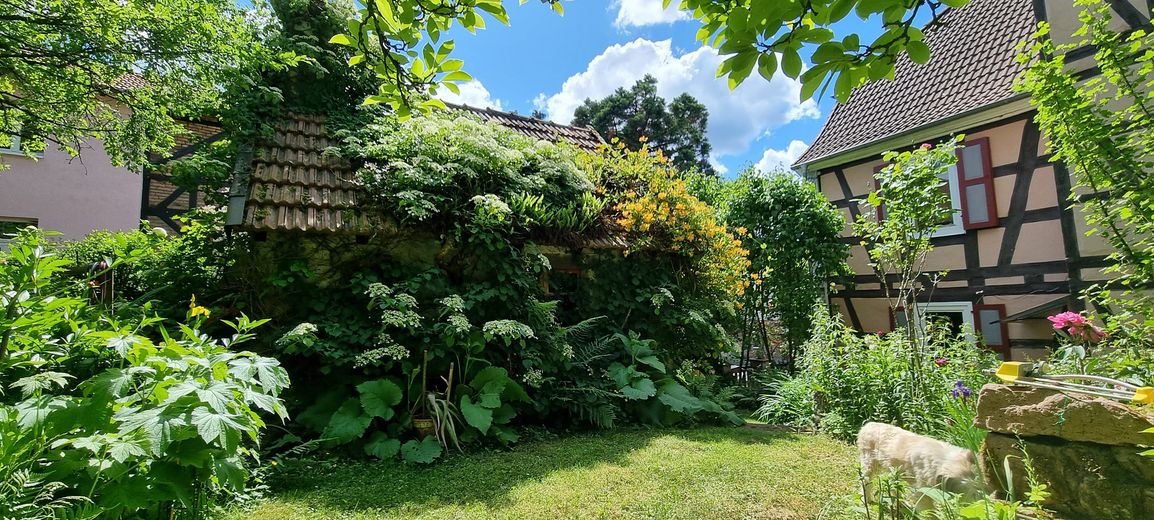 Herrschaftliches ehemaliges Pfarrhaus, Anno 1801 – Denkmal, Fördermöglichkeiten & Steuervorteile – Gartenansicht und Hexenhaus