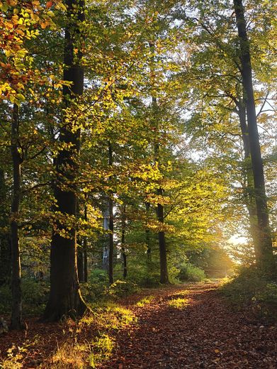 in 5 min. im Naturpark