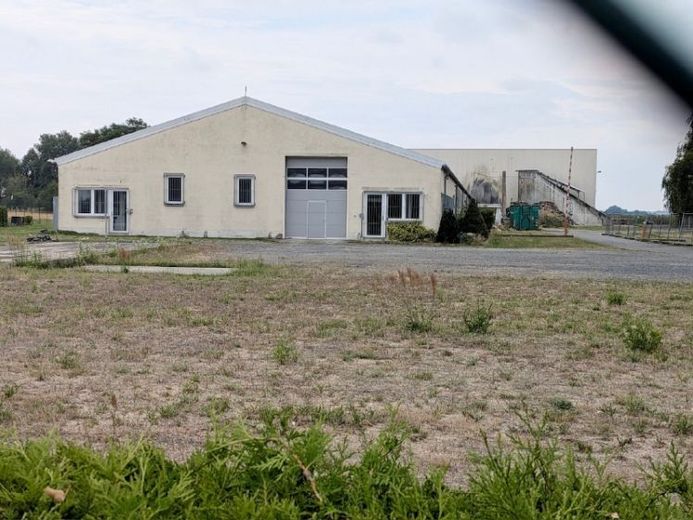 Ofis kompleksli sanayi holleri - Großenhain / Lampertswalde – Foto 1