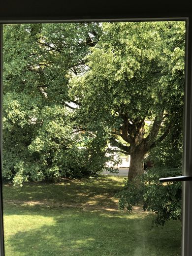 Blick aus der Küche