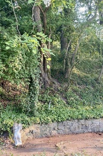Yükseltilmiş rüya konum: Gölün 1. sırasında, göle 100 m mesafede, yenilenmesi gereken evli büyük arsa – Blick auf das Grundstück unten