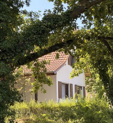 Freistehendes Einfamilienhaus mit Photovoltaikanlage auf sonnigem Grundstück in Berlin-Wittenau – Licht und Schatten