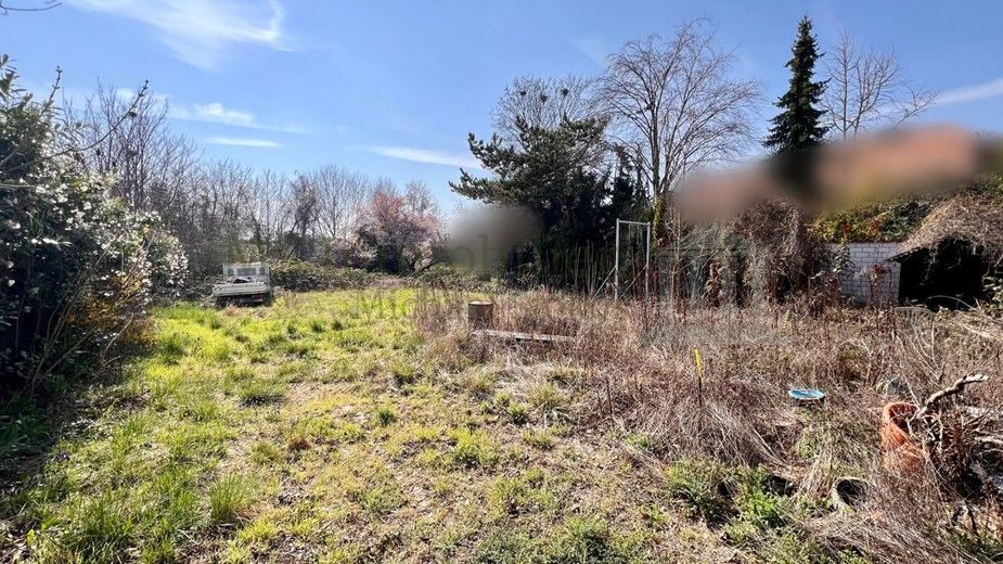 *** Ihr Bauplatz in Grünstadt - 651 m² für Ihr Traumhaus *** – Grundstück Ansicht 3