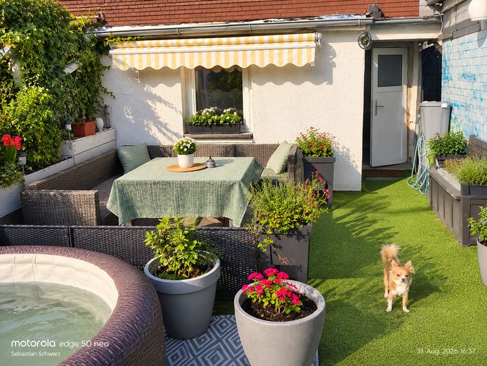 Ein Haus sucht neue Bewohner – Foto 1