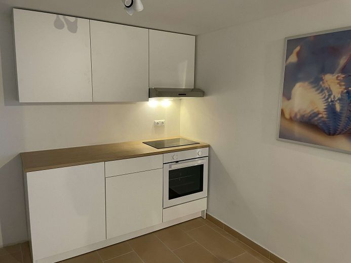 Neuwertige möblierte 2-Zimmerwohnung im Souterrain nahe SAP/Heidelberg – Küche