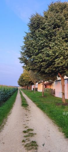 Casa da sogno in posizione eccellente a Gaimersheim – Feldseite bei Haus