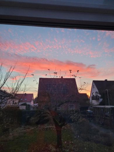 Blick aus dem Wintergarten