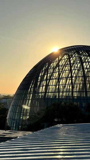 Peek&Cloppenburg daneben