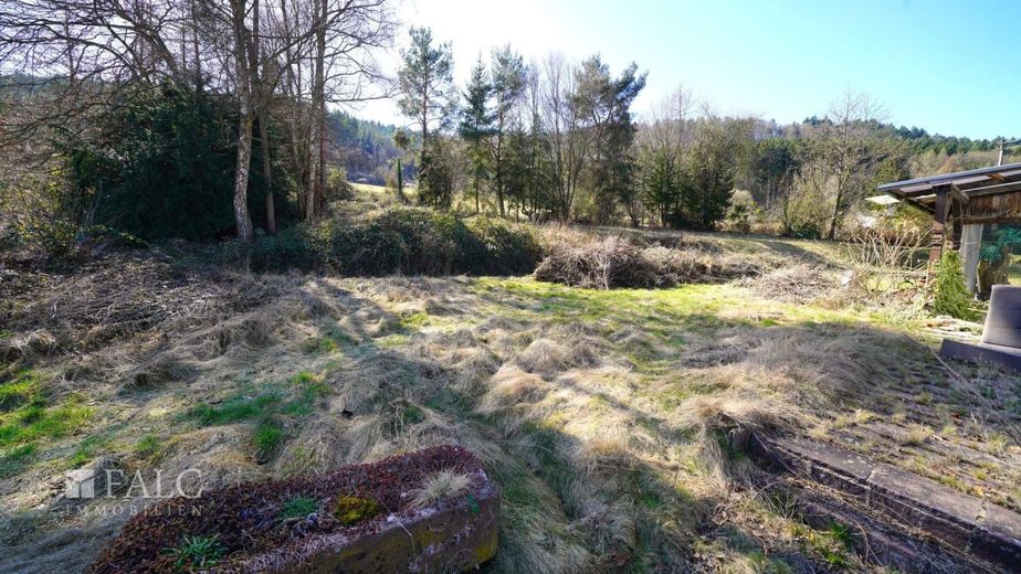 Viel Grün