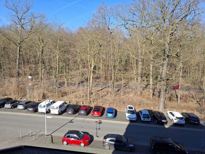Exklusive Bürofläche in repräsentativer Stadtvilla zur Miete – Direkt an der Eilenriede in Hannover – Blick in die Eilenriede