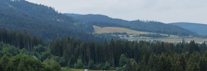 Traumlage im Schwarzwald – 
Baugrundstück in Hinterzarten