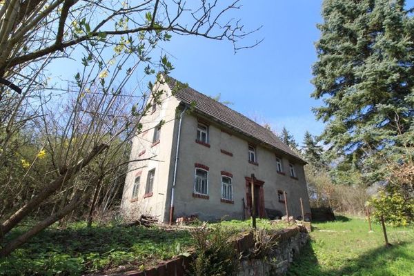 Działka położona w głębi, z domem do rozbiórki, w pięknej lokalizacji w dolinie Muldy
